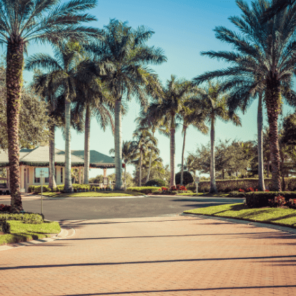 A man in a white bucket positioned on a palm tree, surrounded by lush greenery and bright sunlight.